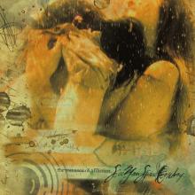 SeeYouSpaceCowboy The Romance of Affliction cover