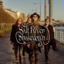 Salt River Shakedown band pic
