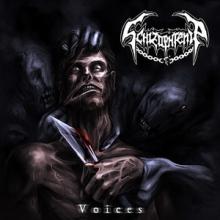 Schizophrenia Voices EP cover