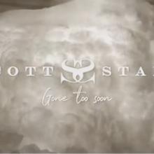 Scott Stapp video pic