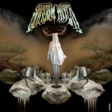Shadow Witch Under the Shadow of a Witch cover