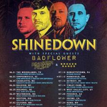 Shinedown North American Tour 2019 poster