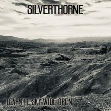 Silverthorne Tear the Sky Wide Open single cover