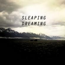 SleapingDreaming Victory Roses cover