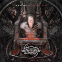 Spectrum Of Delusion Neoconception cover