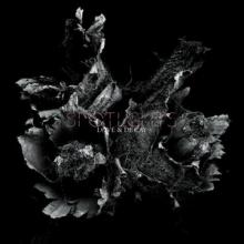 Spotlights Love & Decay cover