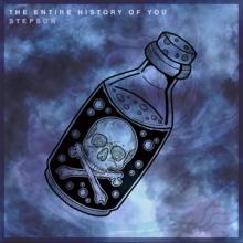 Stepson The Entire History of You single cover