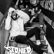 Stoned Monkey band pic