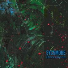 Sycomore Bloodstone cover