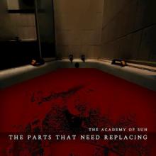 The Academy Of Sun The Parts That Need Replacing single cover