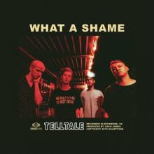 Telltale What a Shame single cover