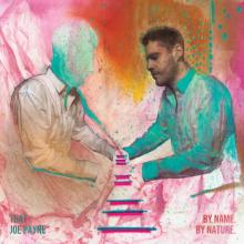 That Joe Payne By Name. By Nature cover
