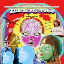 The Chocolate Watchband This is My Voice cover