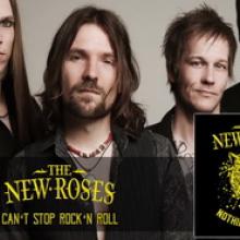 The New Roses video pic