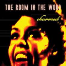 The Room In The Wood Charmed single cover