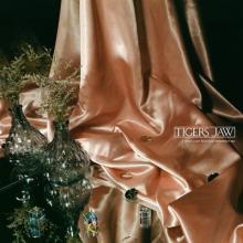 Tigers Jaw I Won’t Care How You Remember Me cover