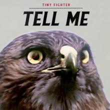 Tiny Fighter Tell Me EP cover
