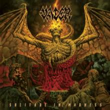 Vader Solitude in Madness cover