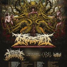 Visceral Disgorge North American Tour 2020 poster
