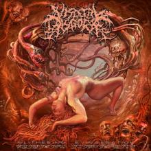 Visceral Disgorge Slithering Evisceration cover