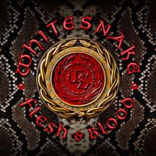 Whitesnake Flesh & Blood cover