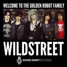 Wildstreet band pic
