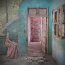 Wine Guardian Timescape cover