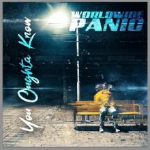 Worldwide Panic You Oughta Know single cover