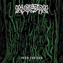 Algebra Feed the Ego cover