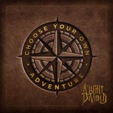 A Light Divided Choose Your Own Adventure cover