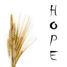 Analogue Wave Hope single cover