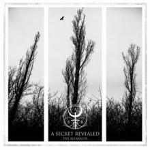A Secret Revealed The Bleakness cover