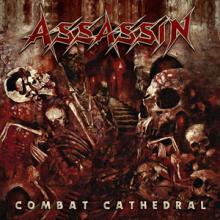 Assassin Combat Cathedral cover