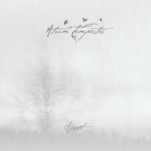 Atrum Tempestas Néant cover