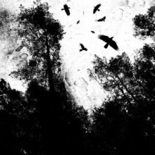 Autumn’s Dawn EP cover