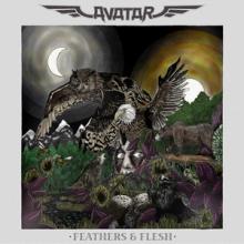 Avatar Feathers & Flesh cover