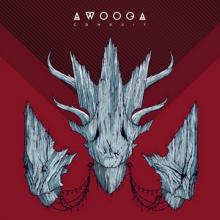 Awooga Conduit cover