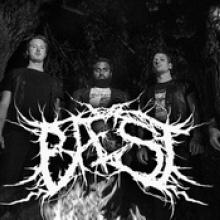 Bæst band pic