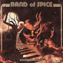 Band Of Spice Shadows Remain cover