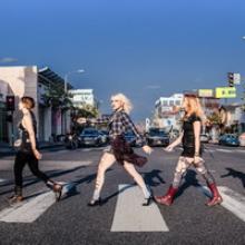 Barb Wire Dolls band pic