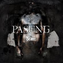 Beldam Pasung cover