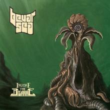 Bevar Sea Invoke the Bizarre cover