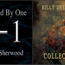 Billy Sherwood Divided By One & Collection cover