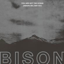 Bison You Are Not the Ocean You Are the Patient cover