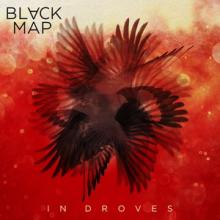 Black Map In Droves cover