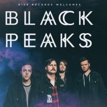 Black Peaks band pic