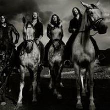 Bombus band pic