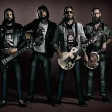 Bombus band pic