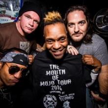 Bonz band pic