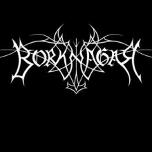 Borknagar logo